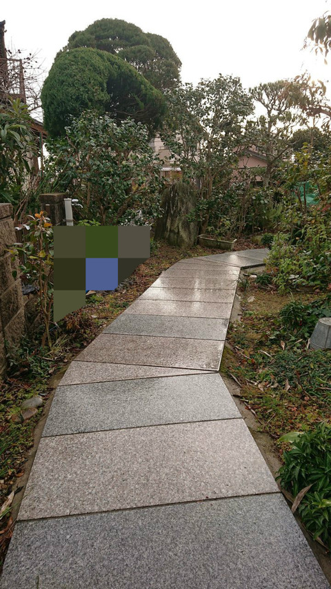 BlogPaint