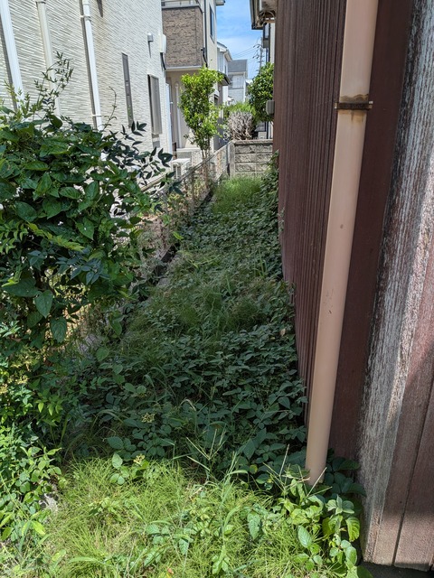 PXL_20260801_015429600