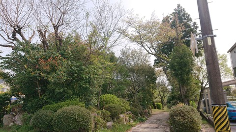DSC_4863