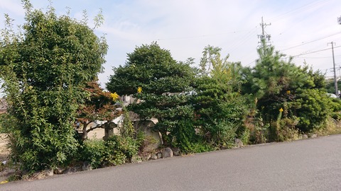 DSC_4030