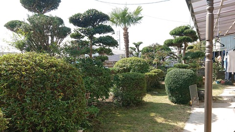 DSC_0150 (2)