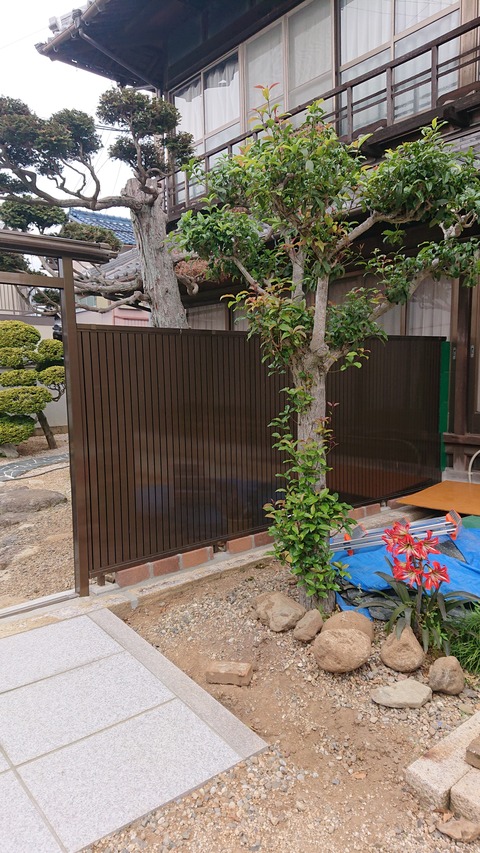 DSC_1444 (2)