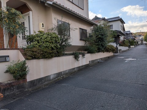 PXL_20251219_000525229