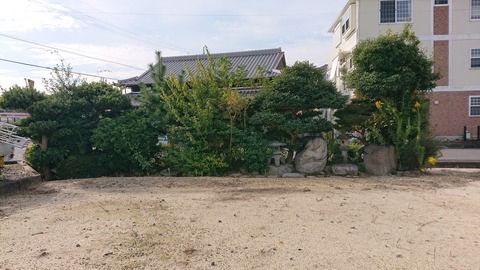 DSC_4028