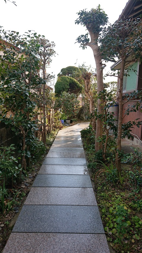 DSC_0755 (2)