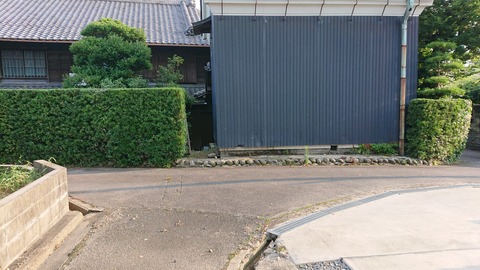 DSC_1795