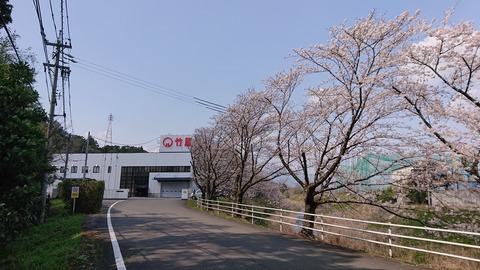 DSC_4804