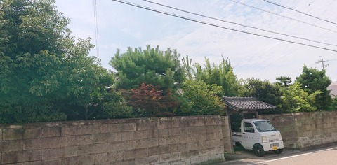 DSC_8082