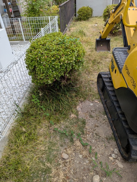 PXL_20260802_235115327