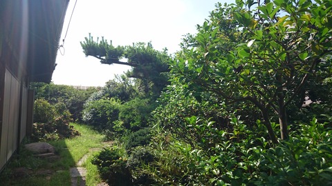 DSC_1978
