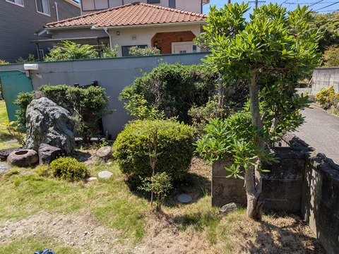 PXL_20260709_010916169