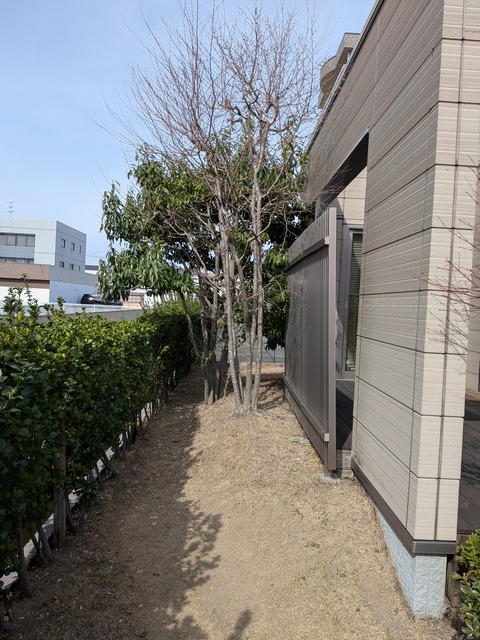 PXL_20260313_010318582
