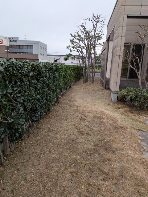 PXL_20260313_074328875