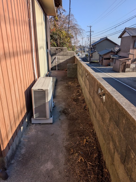 PXL_20260107_045919722