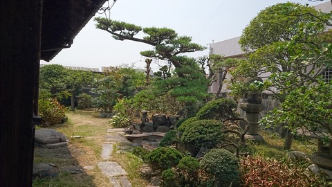 DSC_2010