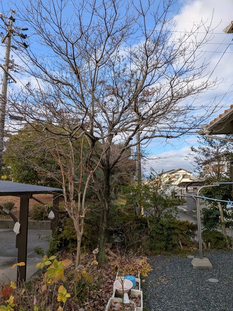 PXL_20251219_001835909