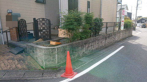 BlogPaint