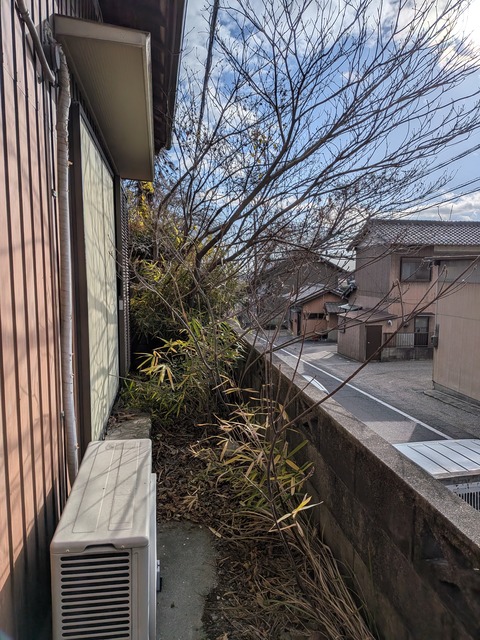 PXL_20260106_004605984