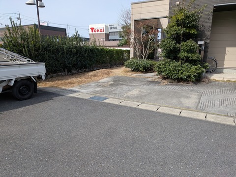 PXL_20260313_010244314