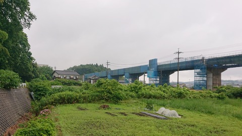 DSC_7145