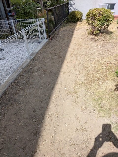 PXL_20260811_004420527