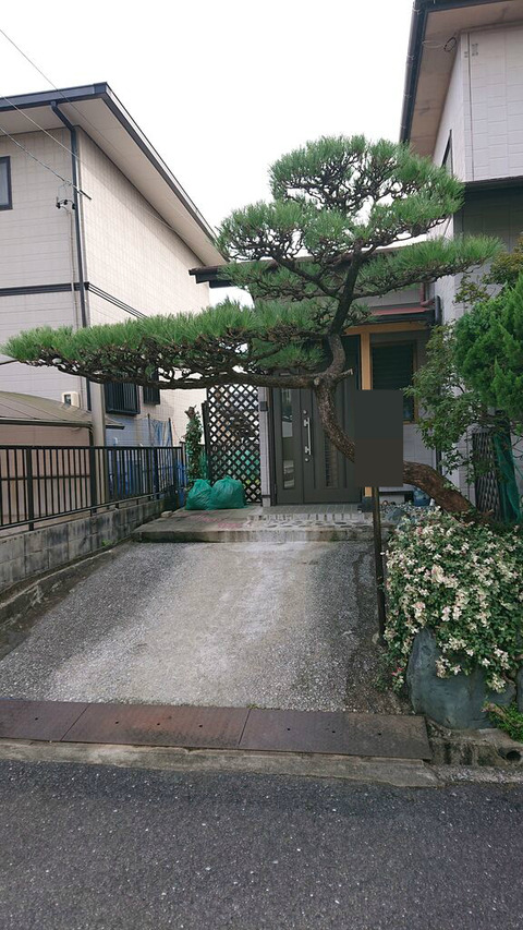 BlogPaint