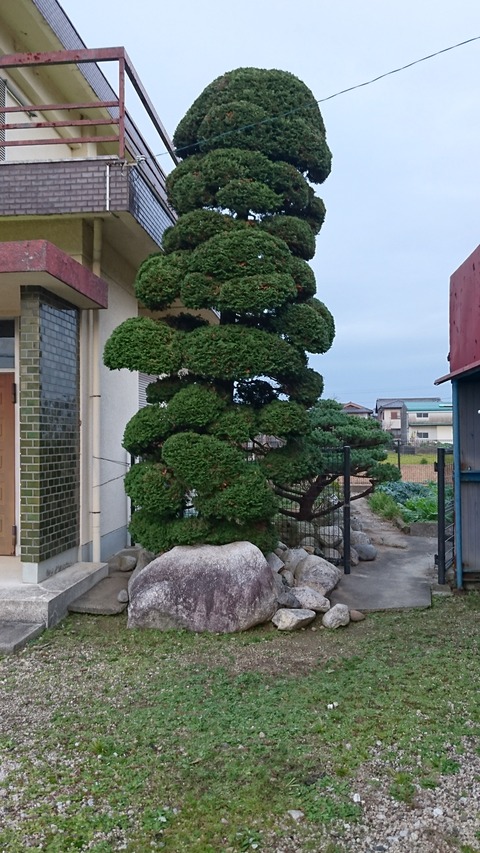 DSC_1049