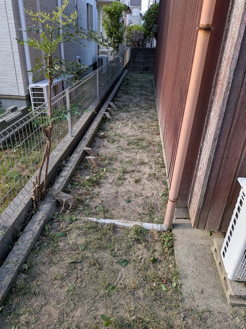 PXL_20260801_073231432