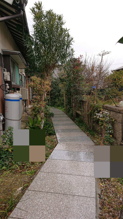 BlogPaint