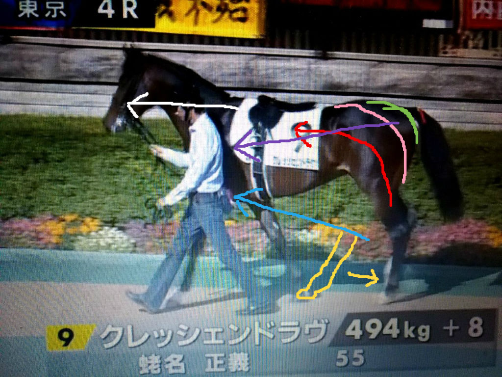 クレッシェンドラヴとアグニシャインとハナレイムーン 馬体評 いつもパドックのblog