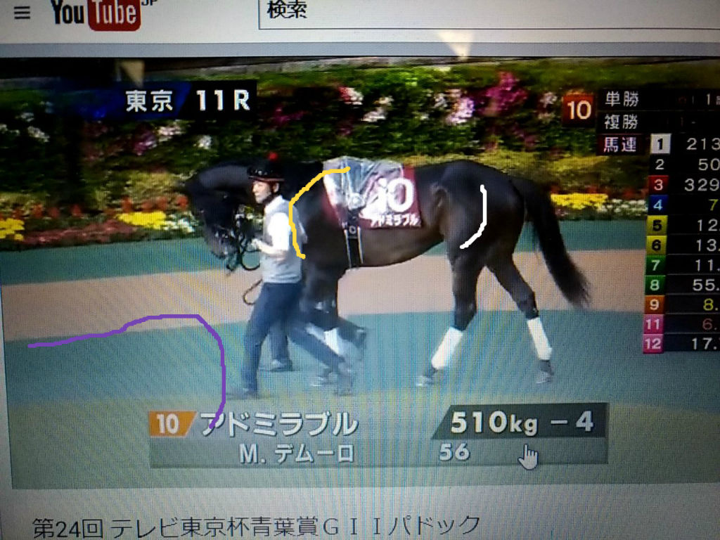 ダービー いつもパドックのblog