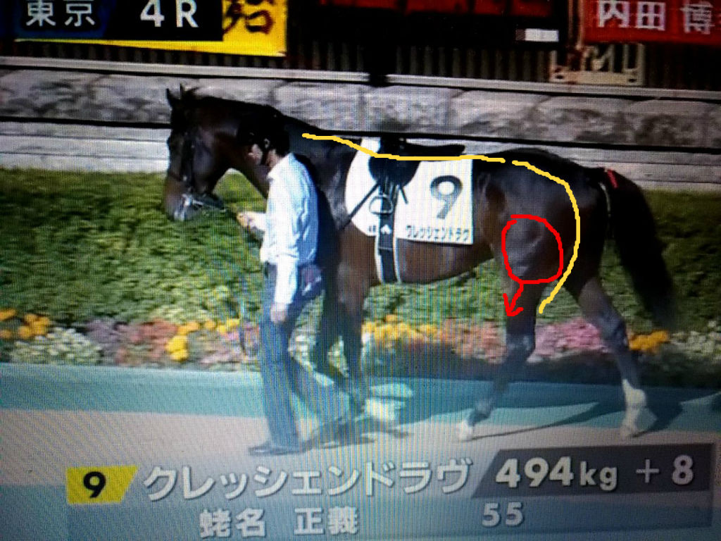 クレッシェンドラヴとアグニシャインとハナレイムーン 馬体評 いつもパドックのblog