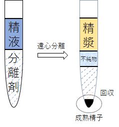 画像１