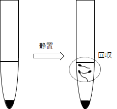 画像２