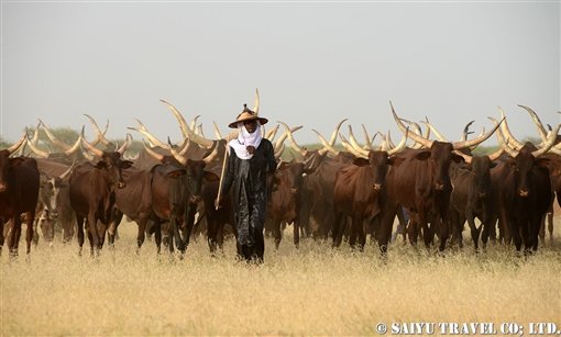 African Dream 西遊旅行チーム アフリカのスタッフブログ