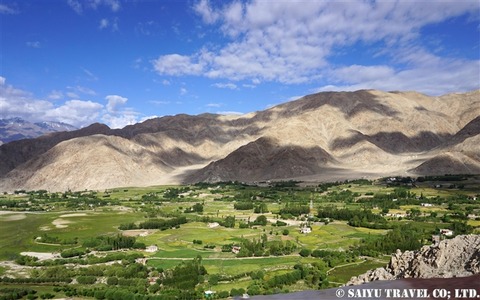 Pangong Tso (2)