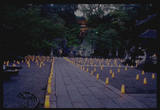 9b858651.jpg