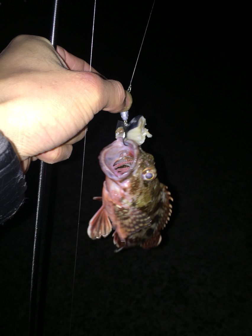 ジグヘッドの話2 鹿児島 ハンドメイドルアー 全面工事中