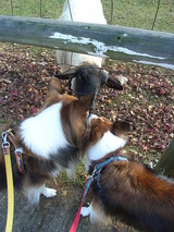 �ᤨ�ᤨ�Ҿ�