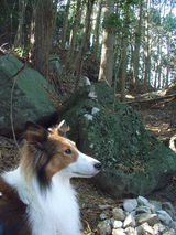 �ѥ���ݥå�