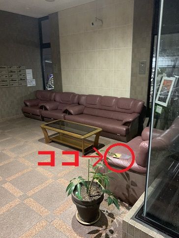 ブログ画像2