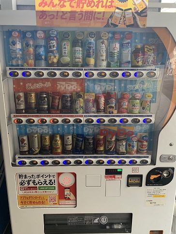 ブログ画像2