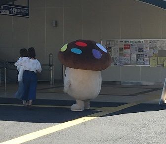 ブログ画像2
