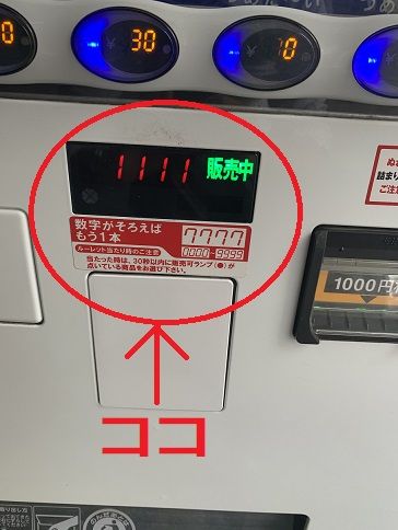 ブログ画像3