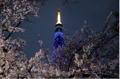 夜桜