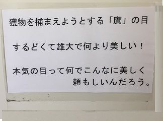 ブログ画像2