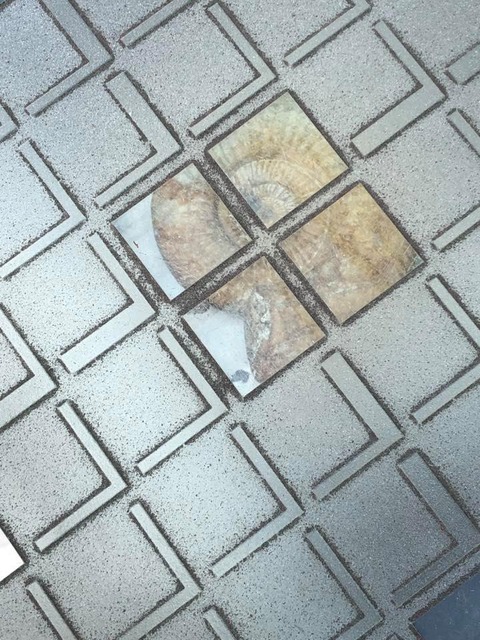 61915676_2470832516485680_5411518442018701312_n