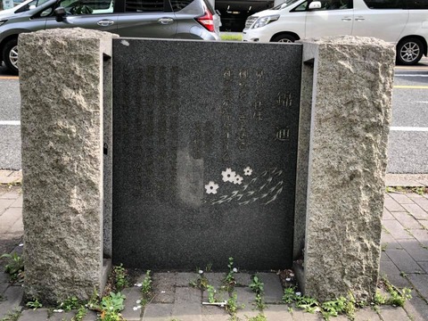 59426396_2437157169853215_591031261351378944_n