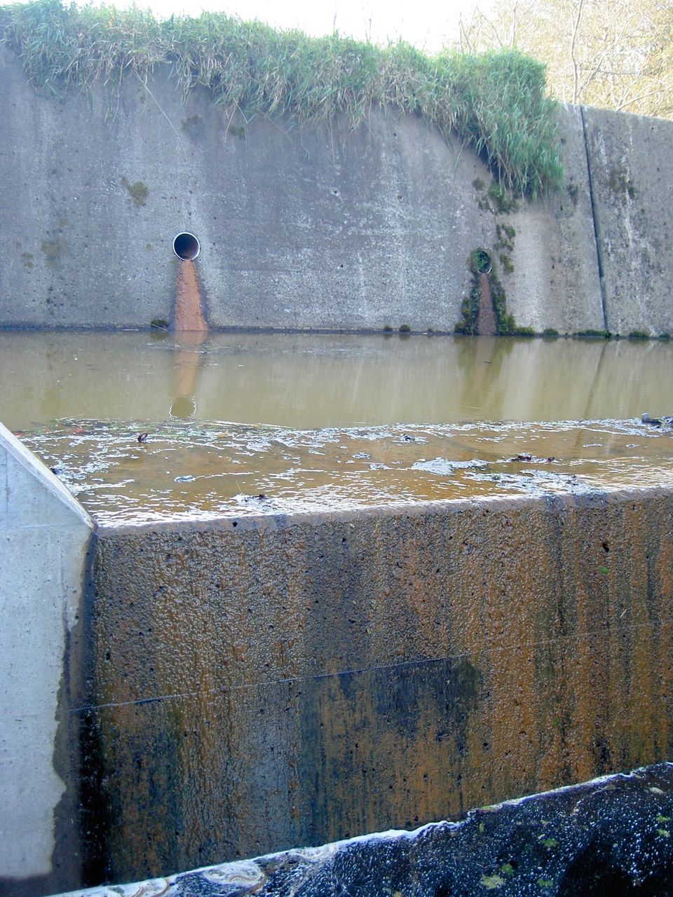 汚れた水を綺麗に あまちゃんの世界 汚れた水を綺麗に あまちゃんの世界