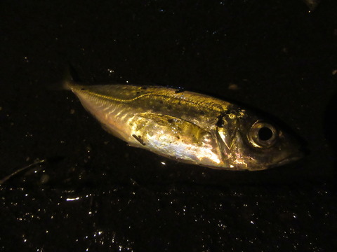 20191227225122